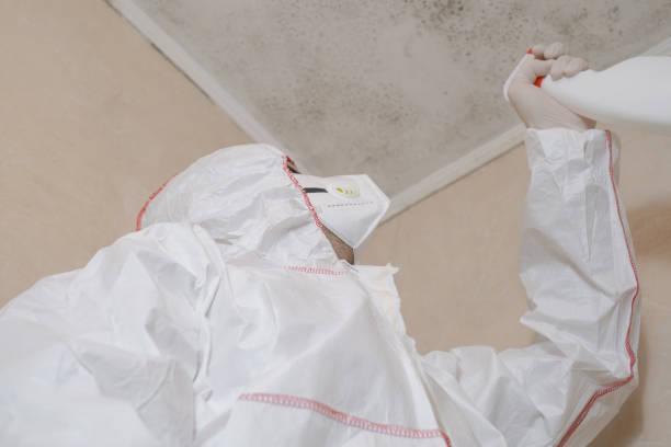 Best Emergency Mold Removal  in Sandy Springs, GA