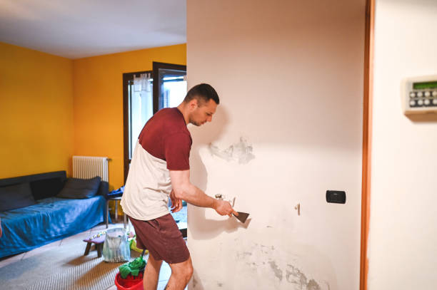 Best Commercial Mold Removal  in Sandy Springs, GA