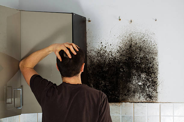 Best Toxic Mold Removal  in Sandy Springs, GA