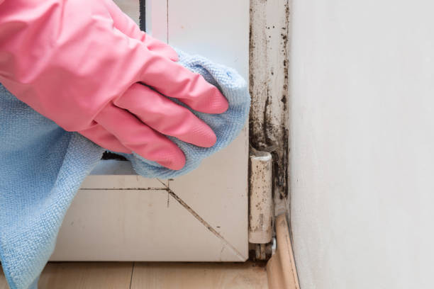 Best Emergency Mold Removal  in Sandy Springs, GA