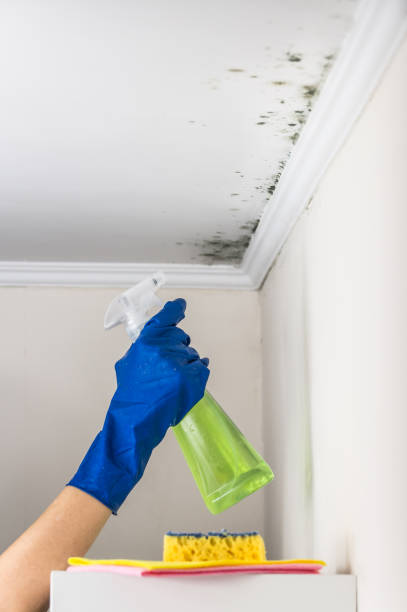 Best Professional Mold Removal  in Sandy Springs, GA